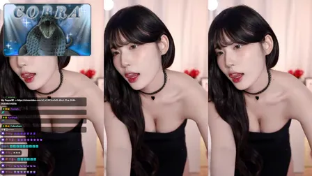 Afreecatv고라니율(BJ格拉尼)2025年3月28日Sexy Dance214430